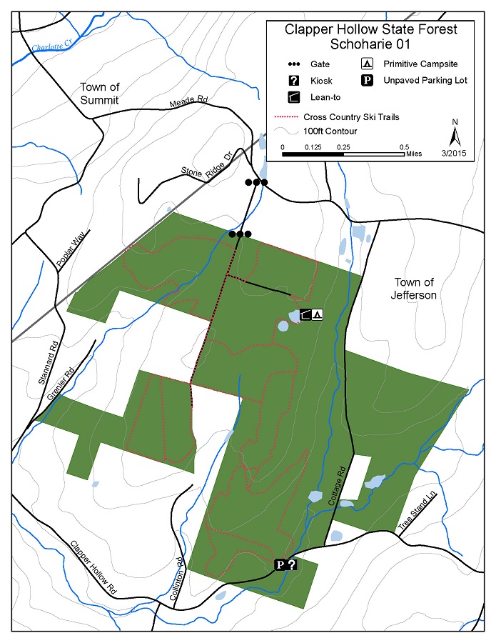 Walking Man 24 7 Clapper Hollow State Forest(Schoharie County, NY)