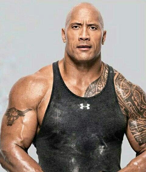 biography wwe legends the rock