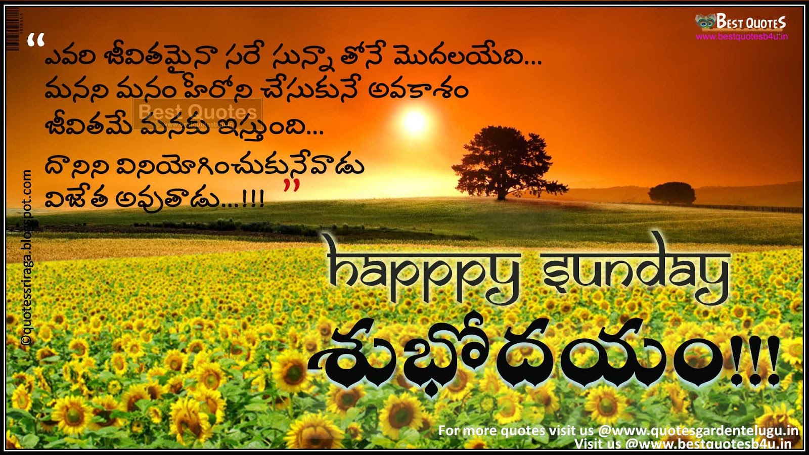happy sunday telugu sms greetings BestQuotesb4U English Telugu