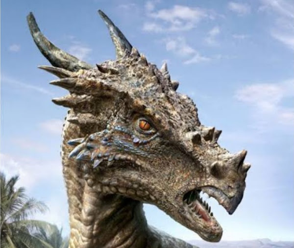 7 Amazing Facts about Dracorex Hogwartsia the Harry potter dinosaur