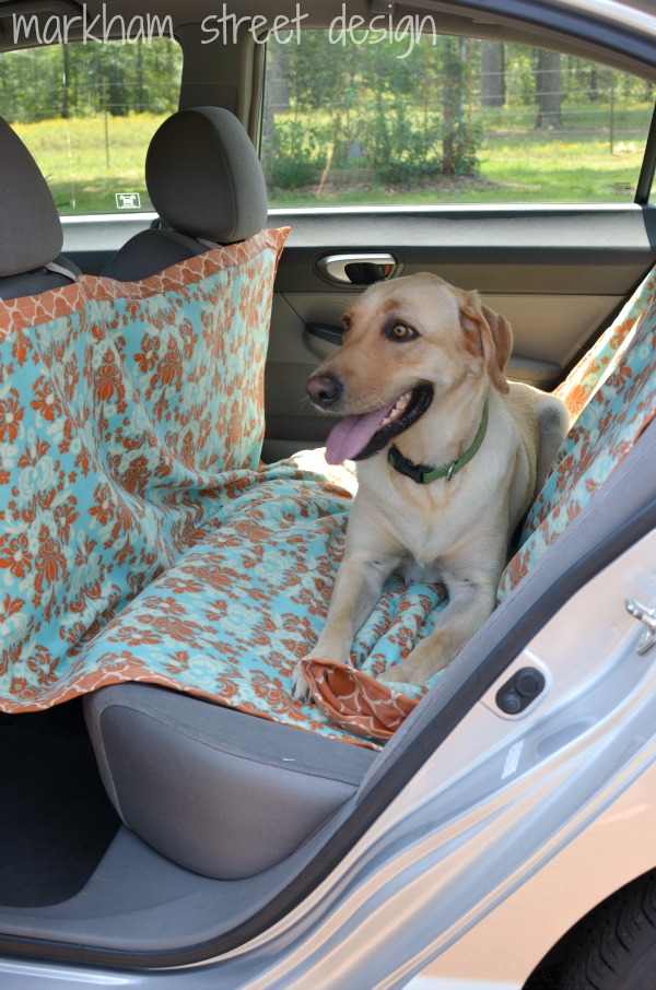 Laura Orr Interiors {31 Days} Doggie Car Hammock