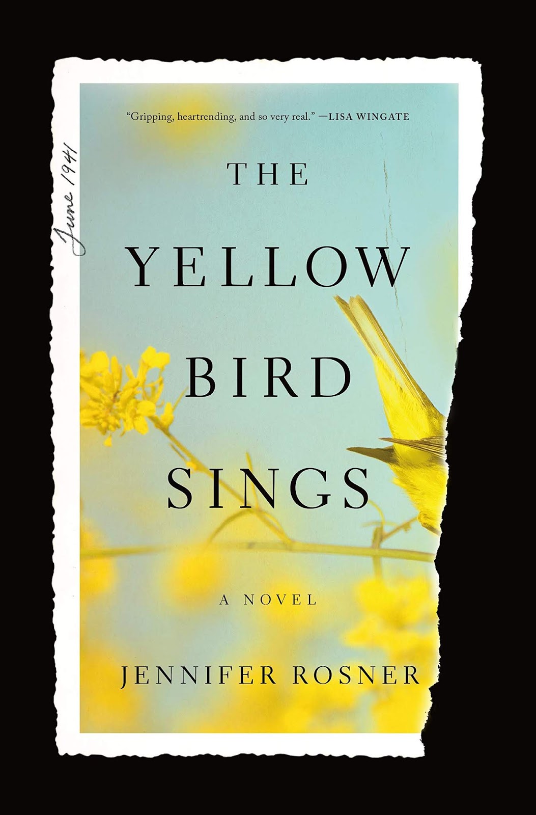 Passages to the Past Review & Giveaway The Yellow Bird Sings by Jennifer Rosner