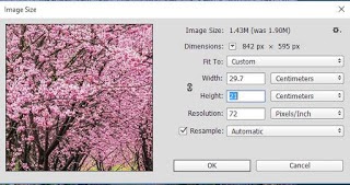Cara Mencetak Foto Ukuran Penuh A4 Tanpa Border Cobacaku