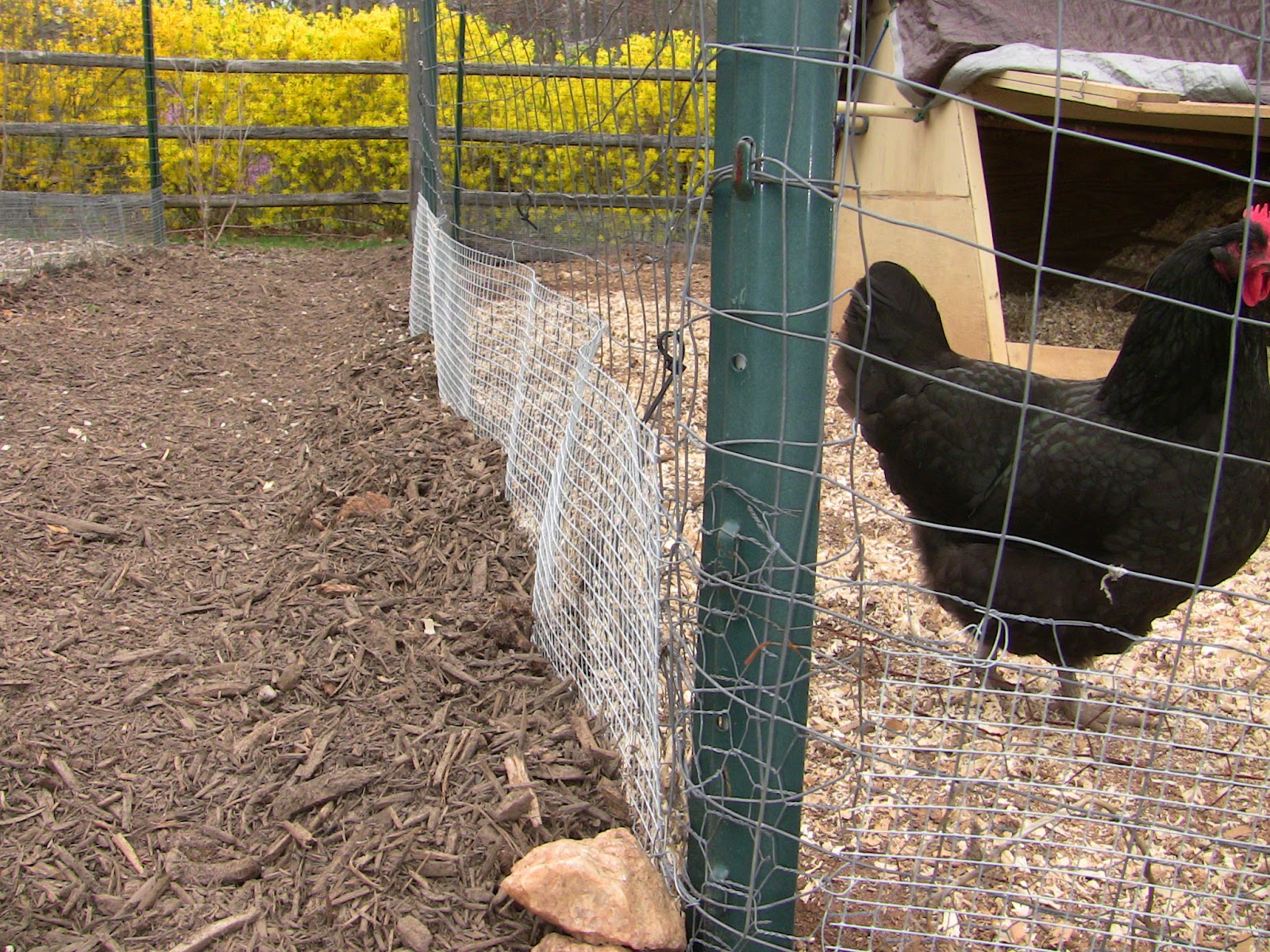 Apple Falls FoxProof Fence