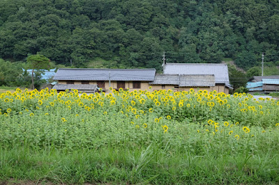 長野県生坂村の古民家カフェ　ひとつ石を裏の棚田から見た風景