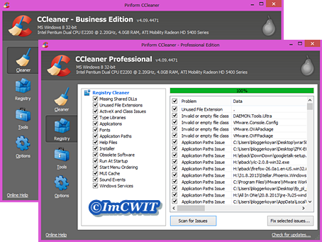 ccleaner pro or business ccleaner pro or business