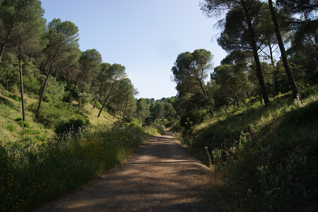 Ruta de senderismo y ornitológico en la Sierrezuela de Villafranca y Adamuz .