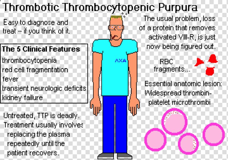 Thrombotic Thrombocytopenic Purpura What To Know
