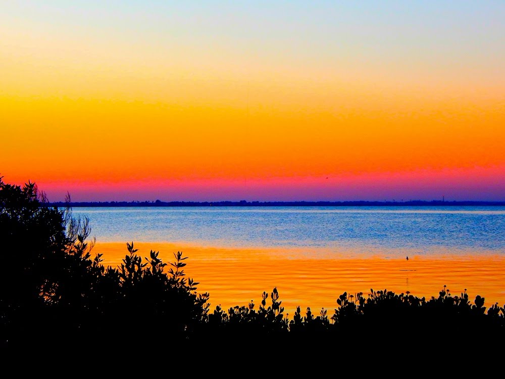 Sunrises, Sunsets, and Rainbows Skyscapes, Part 2 Cuttings from