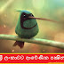 ශ්‍රී ලංකාවට ආ‍‍වේණික පක්‍ෂීන් 🐤🐦🕊️🦆🦅 (Birds Endemic To Sri Lanka)