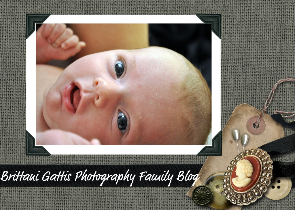 Brittani Gattis Photography Family Page