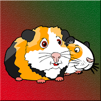 Games2Jolly Guinea Pig Fa…