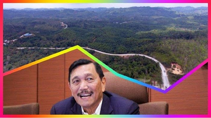 HEBOH! Back-Up TKA China, Bupati Konawe Bongkar Janji Luhut
