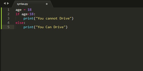 Why Python is the Best Programming Language for Beginners?