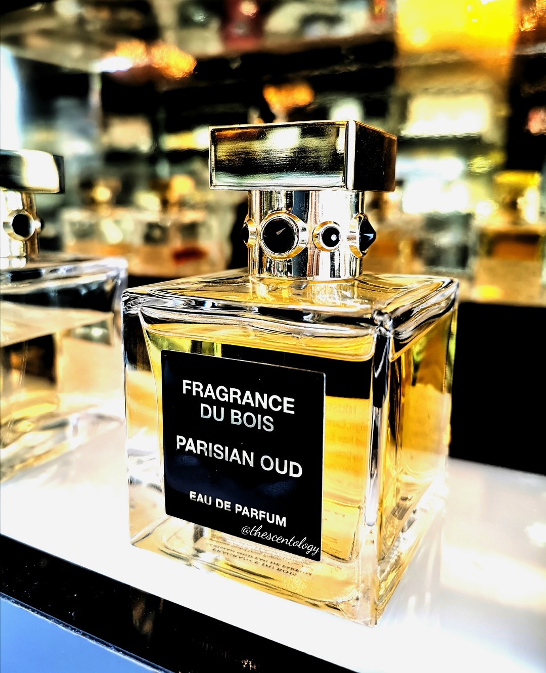 Parisian Oud by Fragrance du Bois