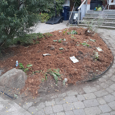 Toronto Front Garden Renovation East York After by Paul Jung Gardening Services--a Toronto Organic Gardening Company