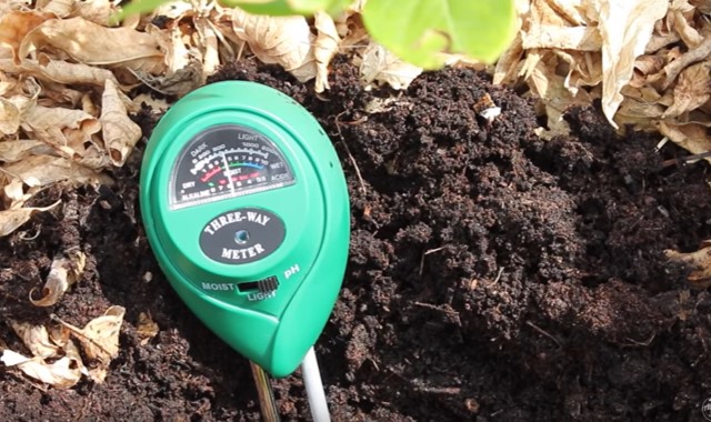 Cara Menetralkan pH Tanah Secara Cepat Pada Tanah yang Terlalu Asam