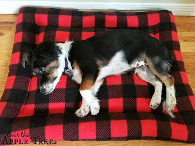 Fleece Dog Bed, Over The Apple Tree