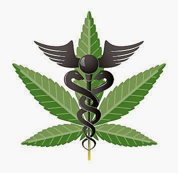 Η Κάνναβις το κατ' εξοχήν οικολογικό φυτό