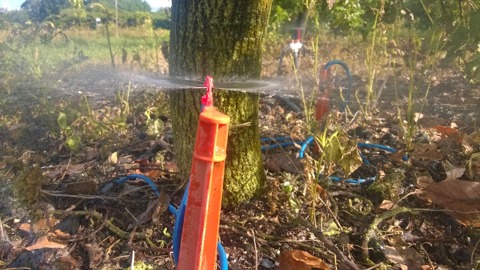 UF/IFAS IrriGator Apps in Agriculture Perfecting the New Avocado