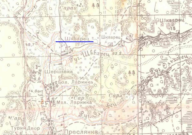 Карта великолукского района
