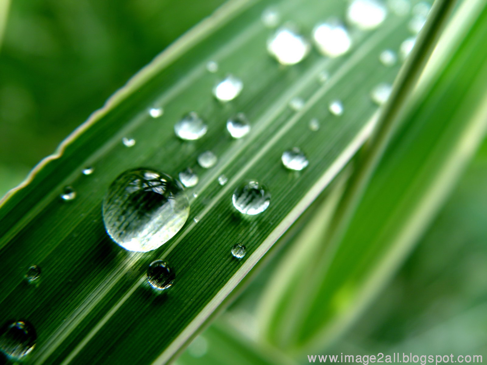 santai bae: HD Wallpaper