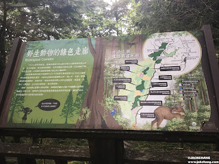 Yilan Cilan|Makauy Ecological Park's Divine Trees Garden-Asia's largest ancient woodland area of Taiwan Cypress.