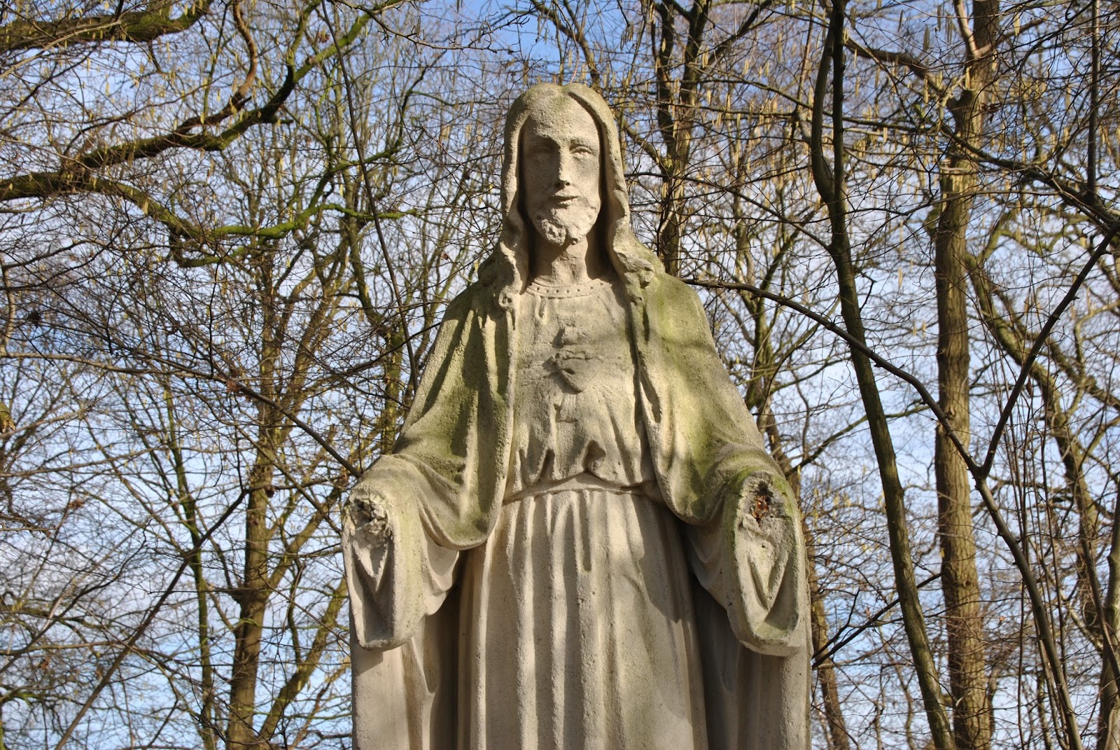 Can you hear the birds sing? no hands