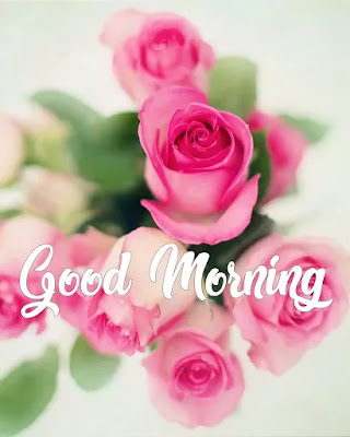 Good Morning Images Good Morning Images