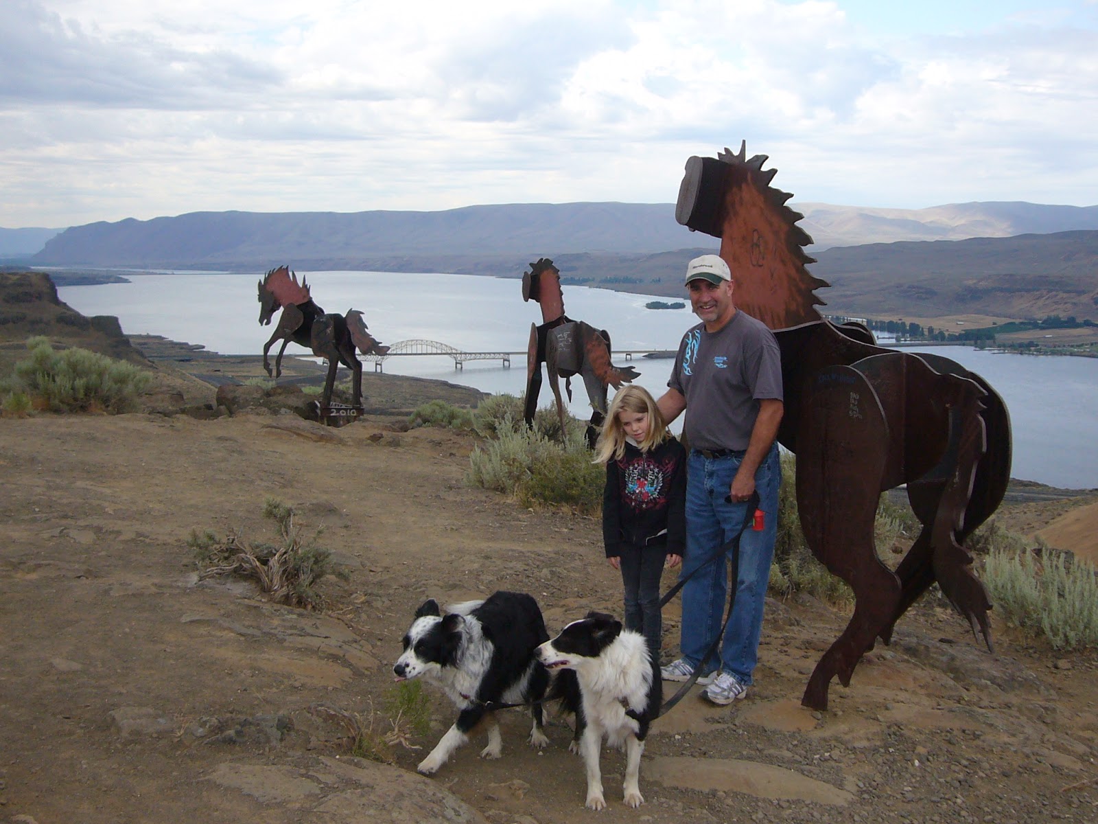 Adventures of Border Collies in the Burbs Wild Horse Monument