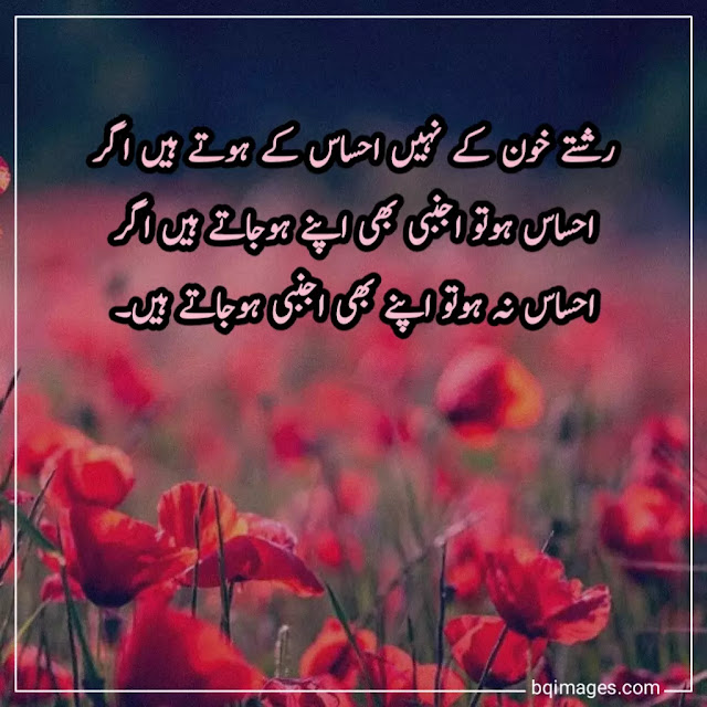 Anmol Moti Quotes in Urdu