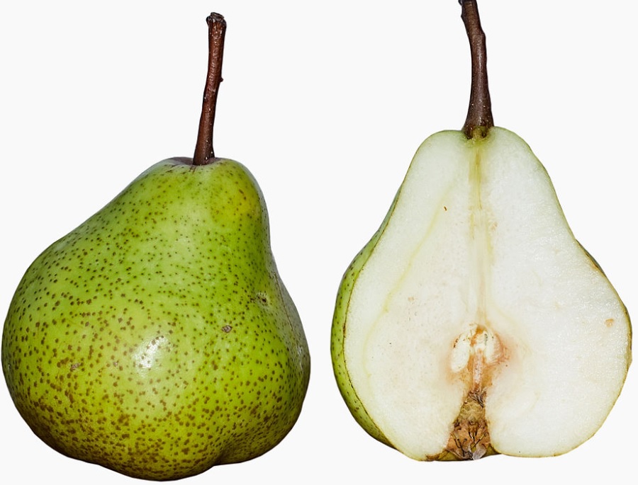 know about kannada and Karnataka March 2018