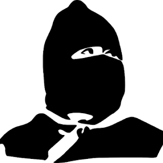 ninja girl pfp