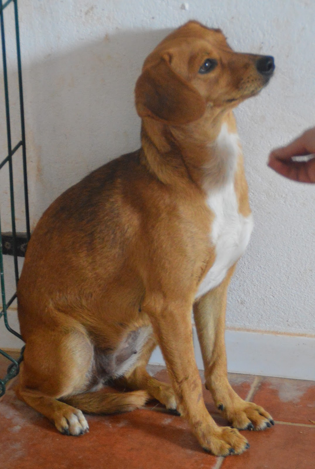 Das wahre Leben So´n büschen bekloppt ist ja ok. Neuzugänge a la