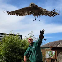 Ireland Photos: Falconry at Tayto Park