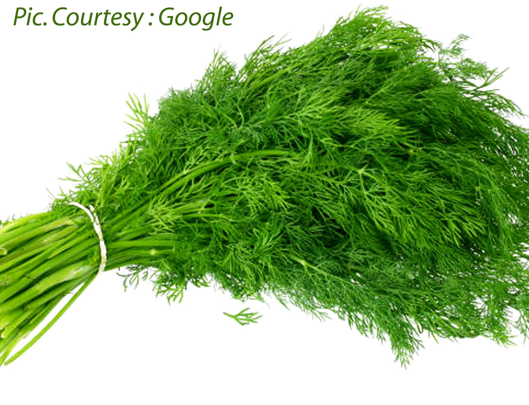 Gayathri Pai's Food Bytes Dill Leaves (Shepu/ Sabsige) Spicy Sanna