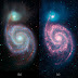 The Whirlpool galaxy shown in different wavelengths of light
