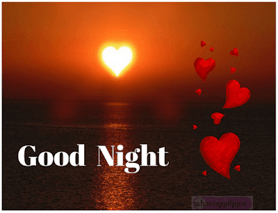 good-night-shayari-with-photo good-night-images-english-shayari