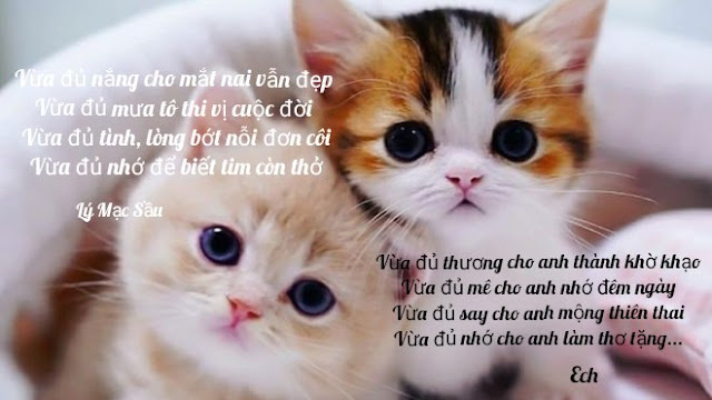 [Image: 316784x441-1631079051594_kindlephoto-234749294.jpg]