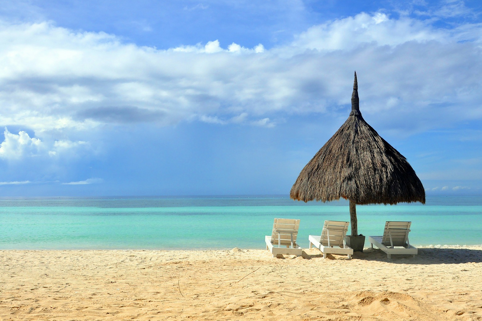 Daydreaming // Tropical Getaway MaquiLab