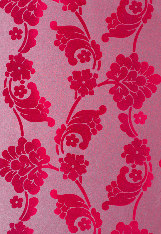 Chameleon Collection Different Styles Of Wallpapers