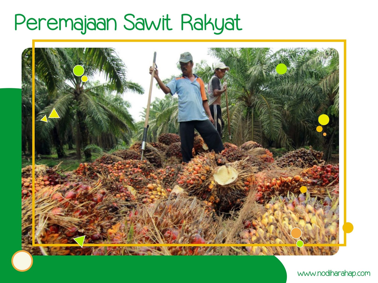 Adhi Nugroho | Nodi: Merawat Kebaikan Sawit Nasional