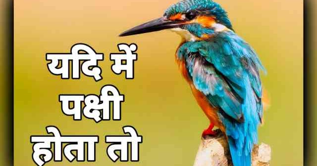 Agar main chidiya hoti to kya karti picture