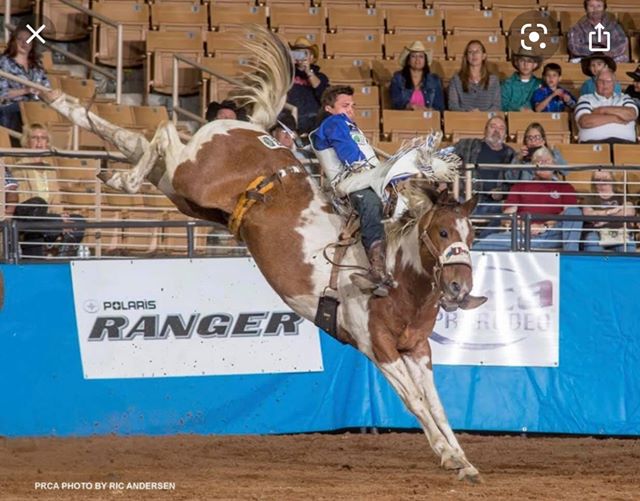 2020 Eureka Pro Rodeo Live HD Streaming