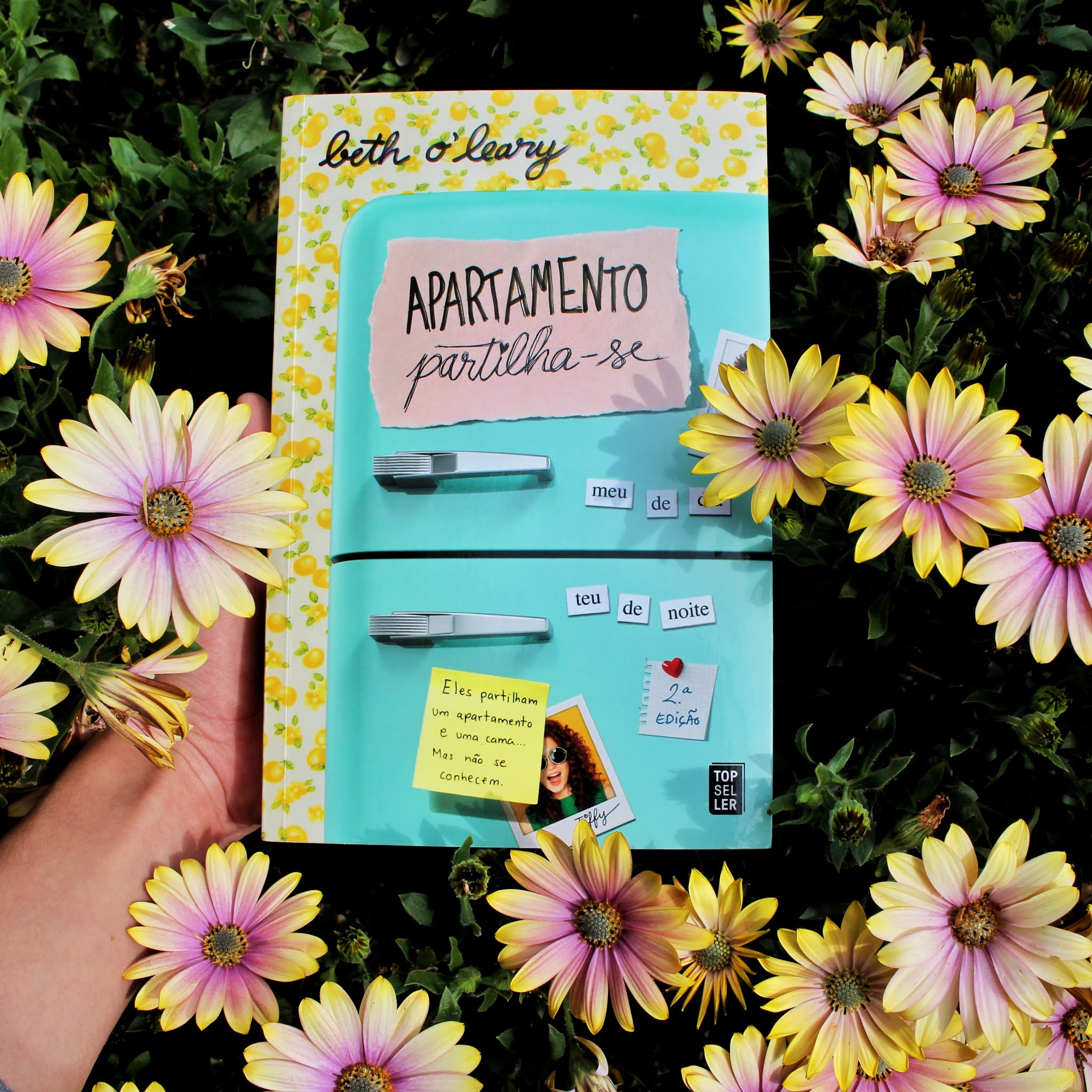 8 Livros para Leres na Praia/Piscina Livro Best-Seller «Apartamento Partilha-se»