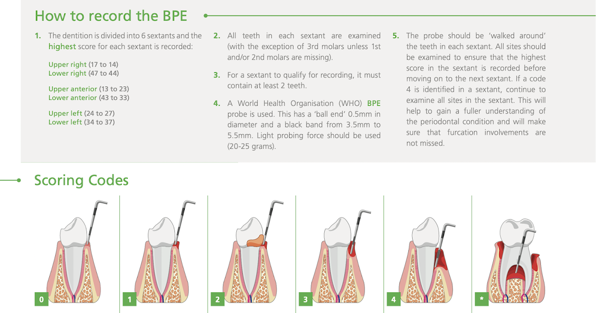 DENTISTRY BPE Chart
