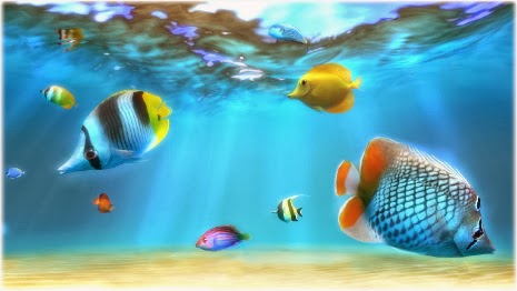Sim Aquarium - Phần mềm tạo bể cá 3D trên màn hình