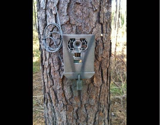 Stealth Cam G42 No-Glo Trail Game Camera STC-G42NG Review