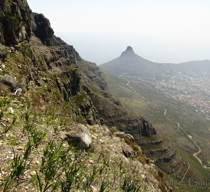 Table Mountain cliffs and the Lady's Hand
