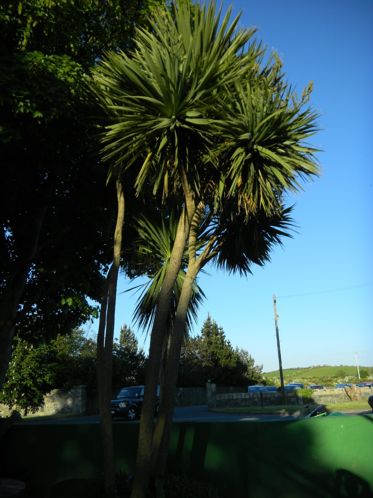 Northern Ireland A Tour through the Ards Peninsula